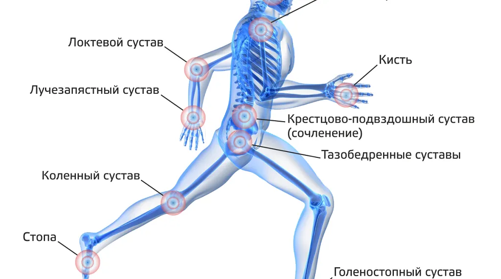 Услуга МРТ суставов в Ижевск